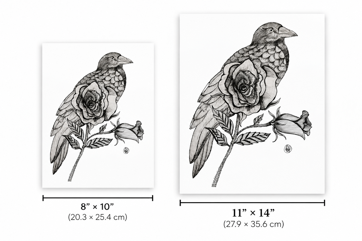 Two black-and-white art prints showing a detailed bird perched on a rose, with size labels below: one 8" x 10" and one 11" x 14".