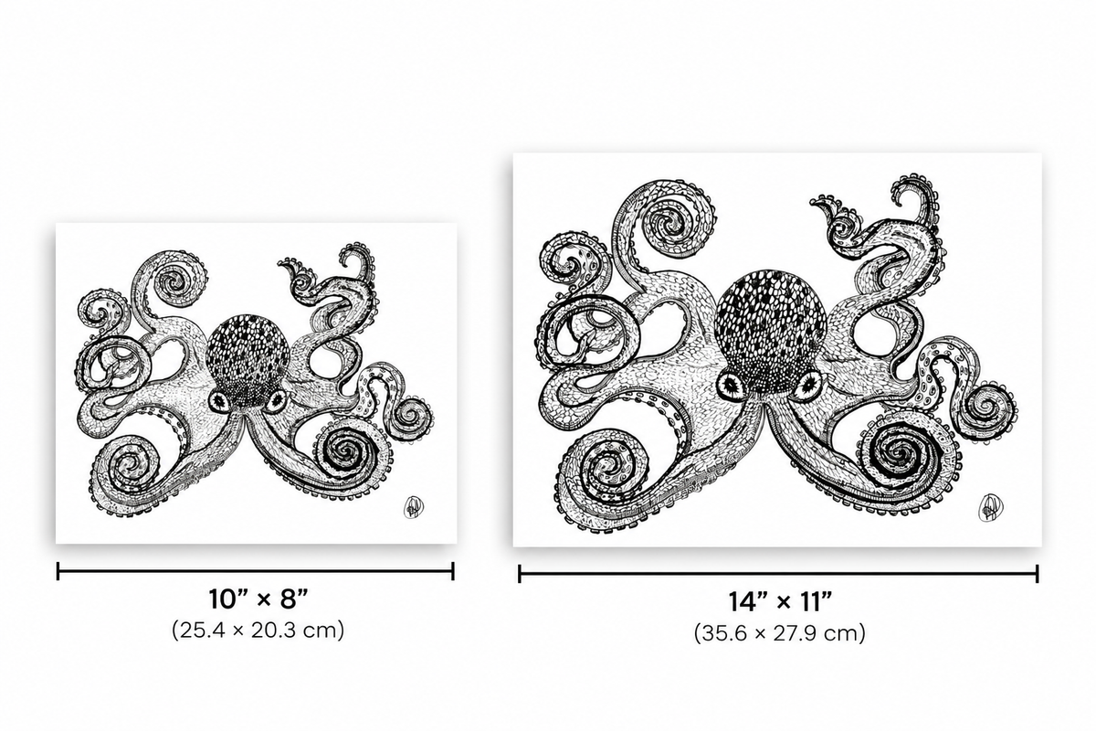 Two octopus art prints shown side by side with size labels: a smaller 10 x 8 inch print and a larger 14 x 11 inch print. The prints feature a detailed black ink octopus illustration on a white background.