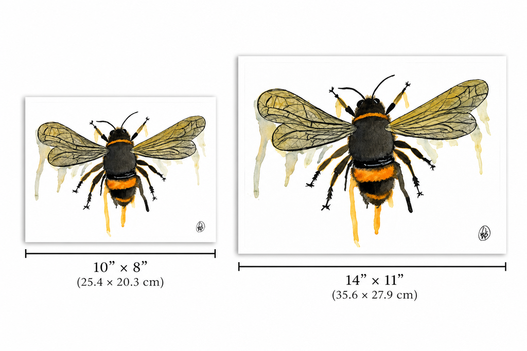 Two watercolor-style bee art prints shown side by side with size labels: a smaller 10 x 8 inch print and a larger 14 x 11 inch print. The artwork depicts a black and yellow bee with translucent wings and dripping paint effects on a white background.