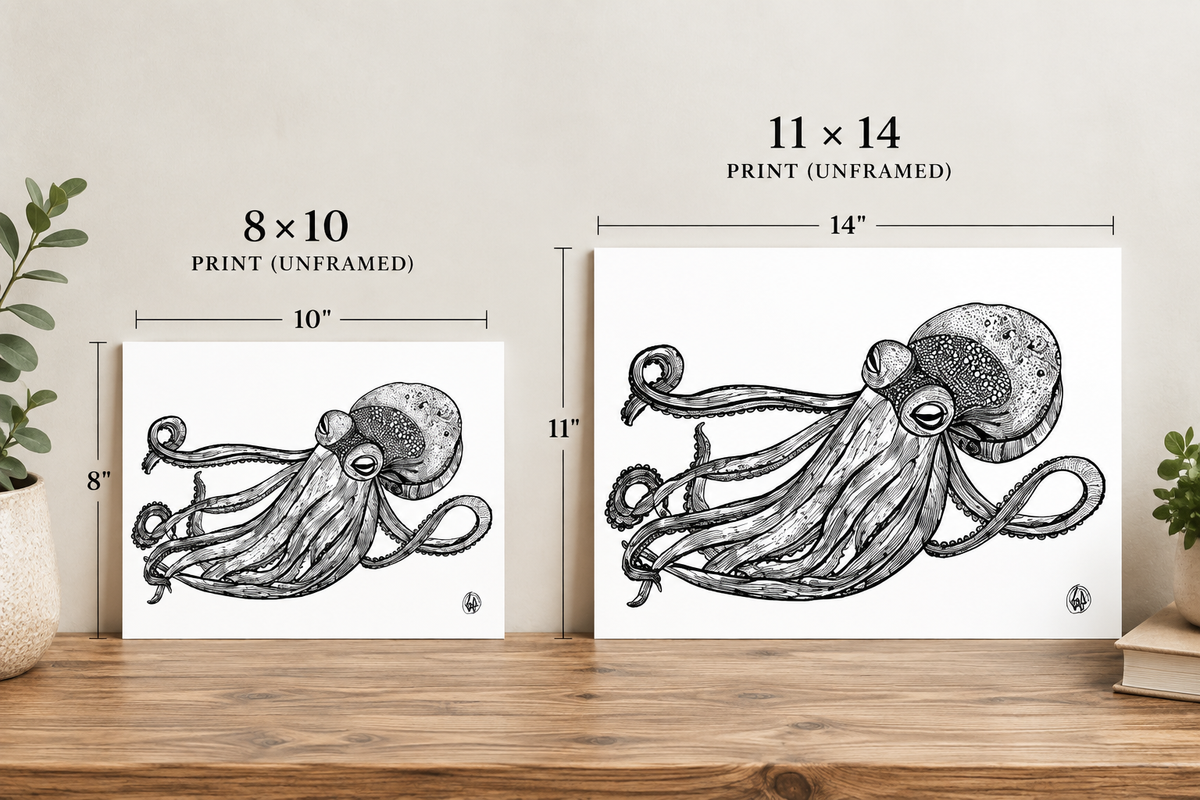 Two octopus art prints shown on a wooden surface against a beige wall, with size labels and dimension lines indicating an 8x10 print and an 11x14 print (unframed).