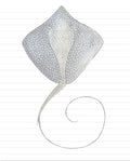 Stingray Stationary Lined Paper | Printable Digital Download