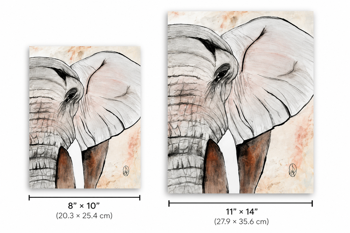 Two elephant wall art prints shown side by side with size labels: an 8 x 10 inch version and an 11 x 14 inch version. The artwork depicts a close-up of an elephant in soft gray, beige, and brown tones on a light textured background.