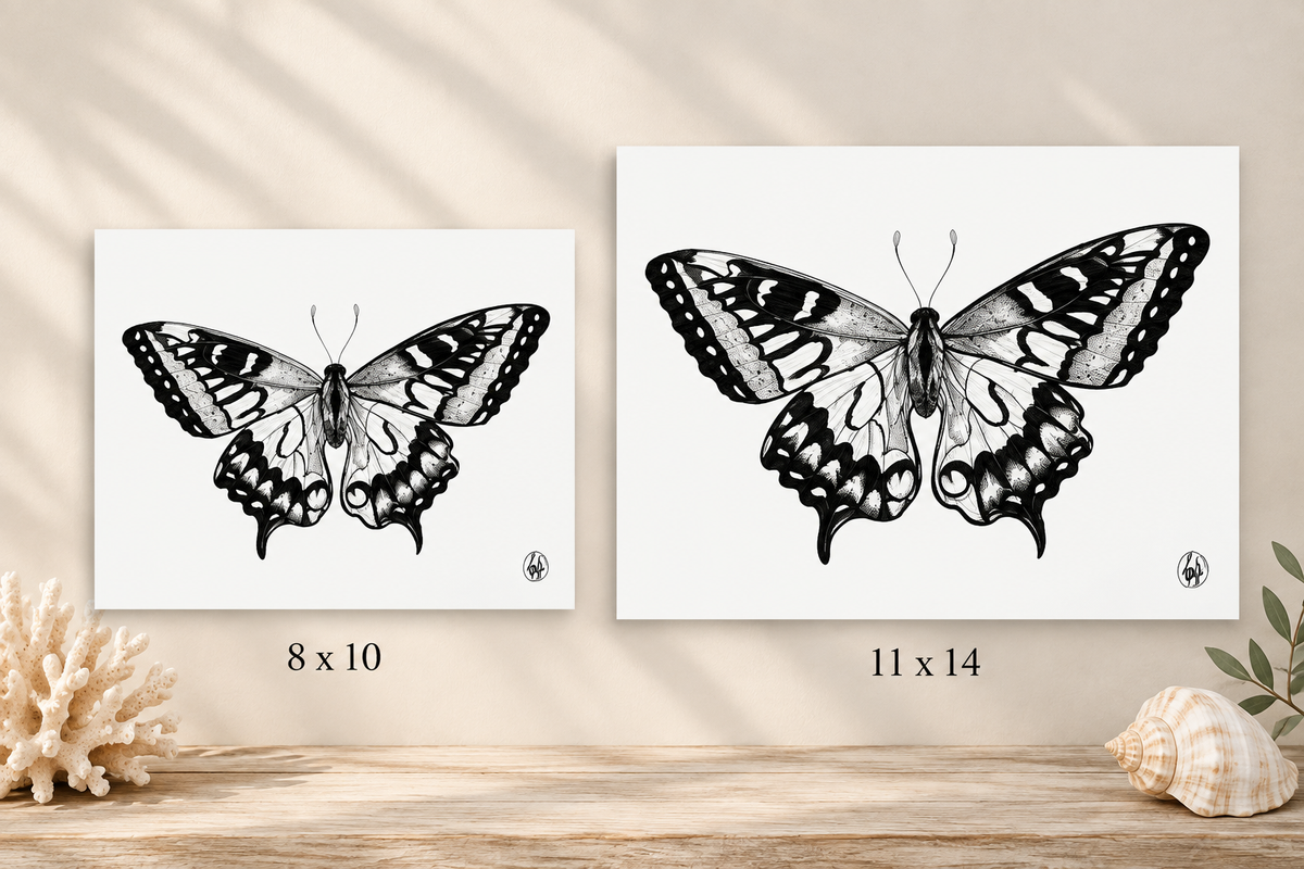 Two butterfly art prints displayed on a wooden surface against a beige wall with soft leaf shadows. The left print is labeled 8 x 10 and the right print is labeled 11 x 14.