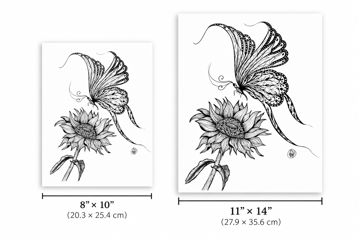 Two black-and-white botanical art prints shown side by side with dimensions labeled: one 8" x 10" and one 11" x 14". Each print features a detailed butterfly over a sunflower on a white background.