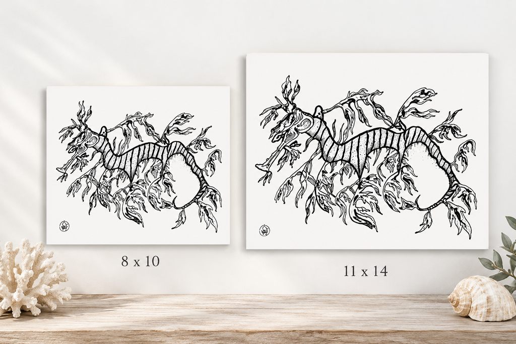 Two framed black-and-white line-art prints of a wavy abstract creature displayed side by side on a light wall above a wooden surface, with size labels '8 x 10' and '11 x 14' beneath each print.