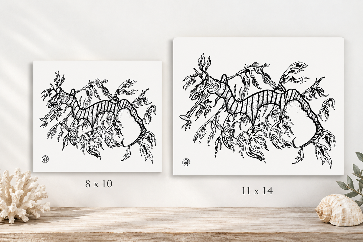 Two framed black-and-white line-art prints of a wavy abstract creature displayed side by side on a light wall above a wooden surface, with size labels '8 x 10' and '11 x 14' beneath each print.