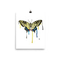 Watercolor Butterfly fine art print reproduced from original watercolor artwork by Art by Kikajo.