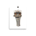 A vertical art print featuring a detailed illustration of a moomba bird head, shown hanging from a black binder clip against a white background.