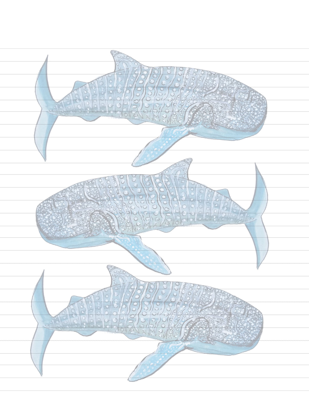 Whale Printable Stationery Set | Ocean Letter Writing Paper