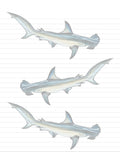 Hammerhead Shark Lined Stationery Paper, Printable Letter Writing (Digital Download)