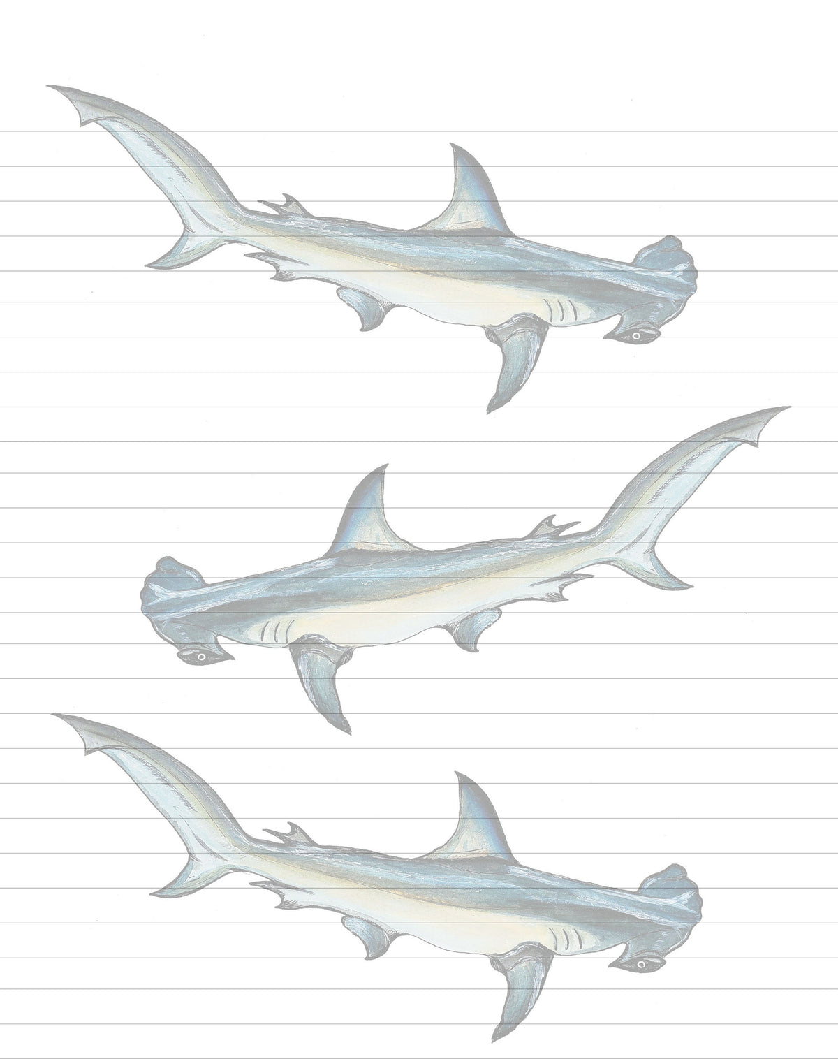 Hammerhead Shark Lined Stationery Paper, Printable Letter Writing (Digital Download)